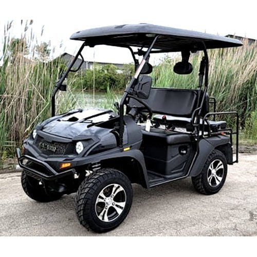 Brand New Gas Golf Cart UTV Hybrid Linhai Big Hammer 200 GVX Side by Side UTV With Custom Rims/Tires β Black image 0