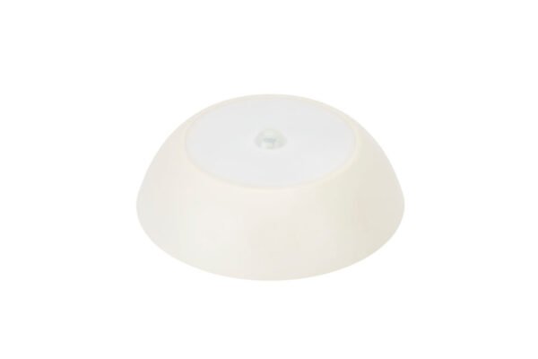 Magnetic Light With PIR Sensor for Shipping Containers image 0