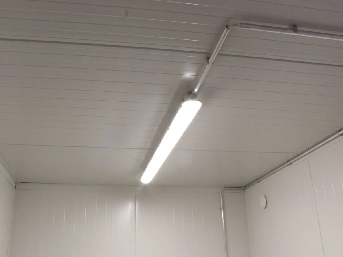 20′ Insulated Container image 4