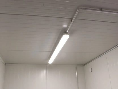20′ Insulated Container image 4