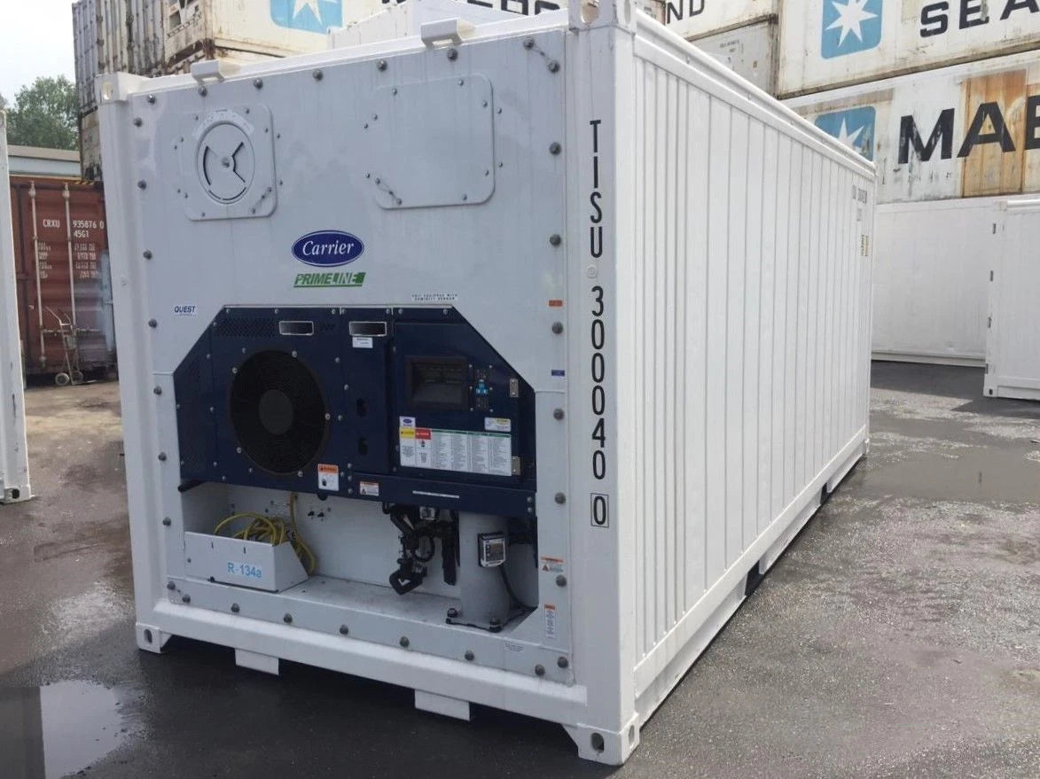 20 Feet Freezer Container NEW Compact Mobile Cold Storage Cell Carrier / Reefer image 0